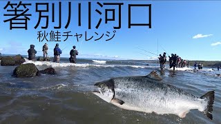 陸の孤島箸別川で大量魚群を目の前に鮭釣ってやるぜ