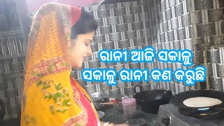 ରାନୀ ଆଜି ସକାଳୁ ସକାଳୁ କଣ କରୁଛନ୍ତି || Odia Vlog || Bhadrak || Rani Creation || personal Vlog