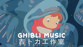 [Relaxing Ghibli Piano] 3 Hours Of Ghibli Piano Song 🍀 Must Be Listened To The 🍀 Chinchilla, The Pon