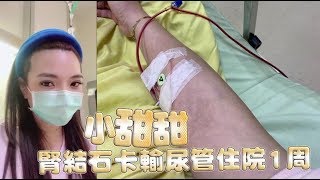 小甜甜腎結石卡輸尿管　住院1周評估開刀 | 蘋果娛樂 | 蘋果新聞網