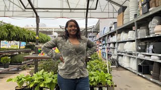 WHATS IN THE GARDEN SECTION: LOWES