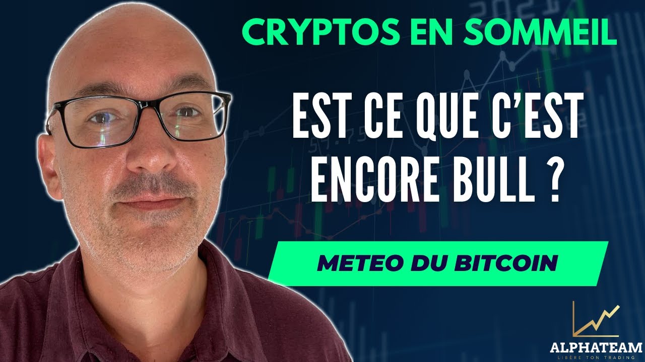 Les Cryptos Sont Elles Encore En Bull Market ? - Météo Bitcoin Fr - YouTube