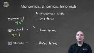 Monomials, Binomials, and Trinomials