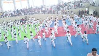 Ujian Penurunan Kyu Gojukai, sabuk hijau, 20250223