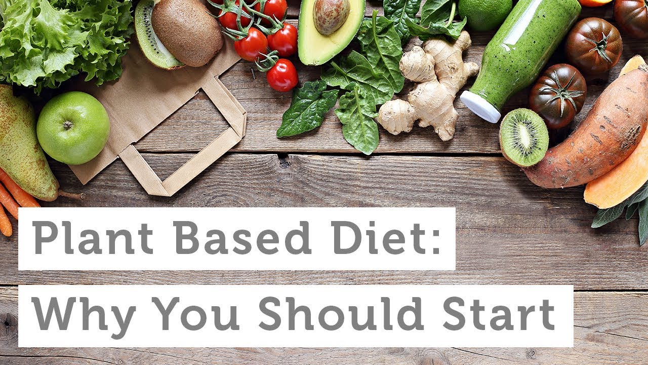 Plant Based Diet | Why You Should Start - YouTube