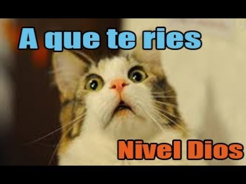 Intenta No Reir Youtube