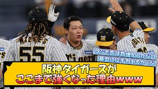 【黄金期到来】阪神タイガースがここまで強くなった理由ｗｗｗ【なんJ 阪神ファン 反応 まとめ】【プロ野球ニュース】