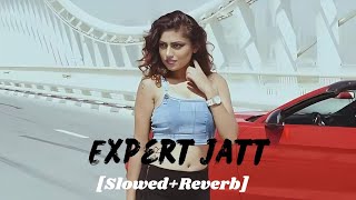 Expert Jatt [Slowed+Reverb]- Nawab | Mista Baaz | TLT