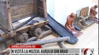 ÎN VIZITĂ LA MUZEUL AURULUI DIN BRAD (2015 01 10)