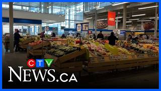 Self-checkout theft surges, with organized crime targeting retailers