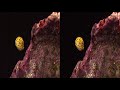 Video 3D Aquarium