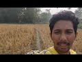 বিহুৰ পিছদিনা আপোন গাঁওখন ♥️🔥।।village vlogs ।। baishya vlogs