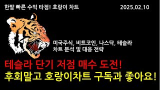 테슬라 단기 저점 매수 도전! 늦게 보셔서 후회 마시고 호랑이차트 구독과 좋아요 부탁드려요. - 호랑이차트