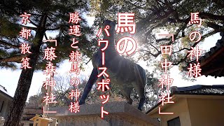 [京都散策]  馬のパワースポット  田中神社  藤森神社  勝馬  馬の神様   Horse Power Spot Tanaka Shrine Fujinomori Shrine   4K