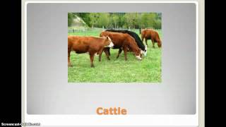 Teaching About Interdependence