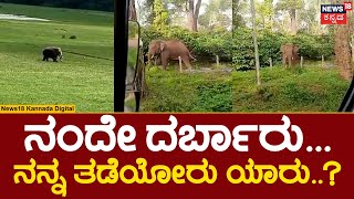 Elephants Viral Video | ಕಾಫಿನಾಡಿನಲ್ಲಿ ಮುಂದುವರಿದ ಒಂಟಿ ಸಲಗದ ಉಪಟಳ | Chikkamagalur | N18V