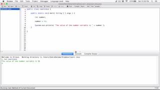 11. Literals - Learn Java