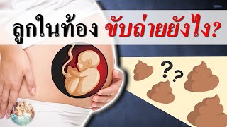 พัฒนาการทารกในครรภ์ : ลูกในท้อง ขับถ่ายยังไง ? | ทารกในครรภ์ขับถ่ายอย่างไร | คนท้อง Everything