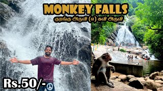 🔥Open பண்ணியாச்சு மக்களே 👈KAVI ARUVI l MONKEY WATER FALLS l POLLACHI l VALPARAI 😍