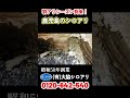 shorts シロアリ シロアリ駆除 シロアリ対策 大脇シロアリ 鹿児島県出水市のシロアリ駆除　大脇シロアリ