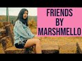 Friends Marshmello Cover by Sejal Kumar
