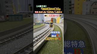 [高速カーブ通過‼︎] E257系500番台(特急わかしお•さざなみ•しおさい) がカーブを通過するシーンを再現‼︎ #nゲージ #jr東日本 #e257系 #e257系500番台 #特急 #kato