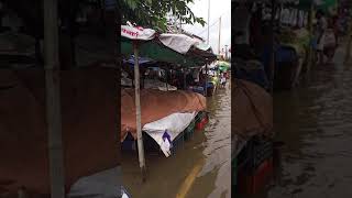 மணப்பாறை பேருந்து நிலையம் முன் தேங்கி நிற்கும் மழைநீர் | Manapparai bus stand | Manavai Hari