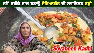 ਨਵੇਂ ਤਰੀਕੇ ਨਾਲ ਬਣਾਉ ਸੋਇਆਬੀਨ ਦੀ ਕੜ੍ਹੀ | Kadhi Recipe | Village Life | Punjabi Khana Vlog Channel