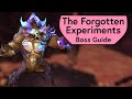 Forgotten Experiments Raid Guide - Normal/Heroic Aberrus Guide