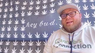 Early Lemon Berry Review - 19.6 THC