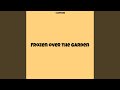 Frozen over the Garden