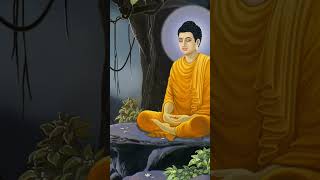 Inspirational Music with Buddha quotes|Buddha quotes on positive thinking Inspiration quotes on life