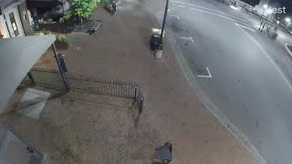Asheville Arson Suspect