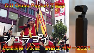 シュラヨイ　2023新宿エイサーまつり　琉球國祭り太鼓