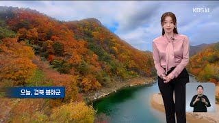 9시뉴스 강아랑기상캐스터 221028