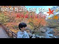 지리산 최고의 단풍명소 피아골 단풍 현황 ㅣ 지리산 피아골 단풍코스 ㅣ 지리산 피아골 등산코스