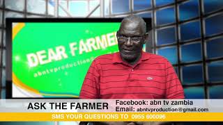 DEAR FARMER FISP WITH DR FRANK KAYULA