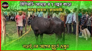 মিশিরডি আসরের 1 নাম্বার কাড়া || লড়াই এর আগের মুহূর্ত দেখুন || পুরো ভিডিও টা দেখুন