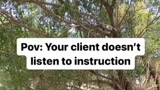 YOUR CLIENT DOES NOT LISTEN TO INSTRUCTIONS 😅😂😭🤣(/ LAYIWASABI