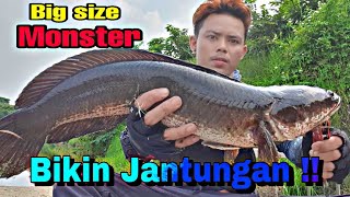 Test Rod ABU GARCIA BASSFIELD 2-8 LB || Bikin Panik Joran Hampir Patah Di Tarik Monster