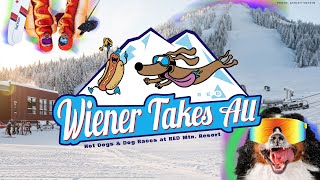 First Annual Wiener Takes All Dog Race at RED!