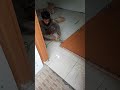 Cara memotong pintu pakai mesin gerinda #shorts