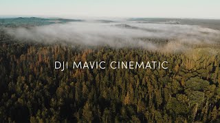 DJI Mavic Air | Cinematic Foggy Forest Sunrise