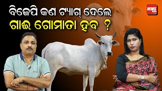 ଗାଈ ଆମର ମା' କି ନୁହଁ | Manoranjan Mishra | Gou Mata | Debate | News Room |