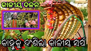 kaliya Dalana କାଳୀୟ ଦଳନ | Nadiali | Mahan Pouranik Nataka Kaliya Dalana | Mahabharata | Balakrishna