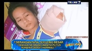 On The Spot - 7 Serangan Fatal si Kucing Besar