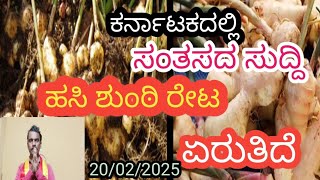 ಹಸಿ ಶುಂಠಿ ರೇಟ್   Ginger rate