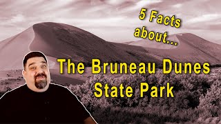 5 Facts About the Bruneau Dunes State Park