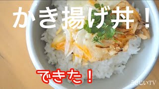 フライパンでサクサクかき揚げ丼を作ってみた How to make Kakiage-don 福岡・糸島のYouTuber 宇佐美ダイ