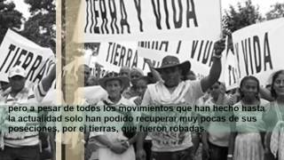 Movimientos Campesinos En LatinoAmerica.